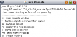 javaconsole